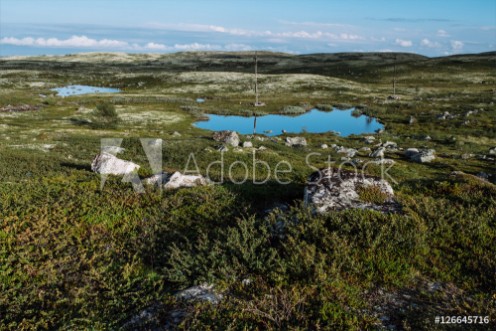 Bild på Tundra landscape Russia